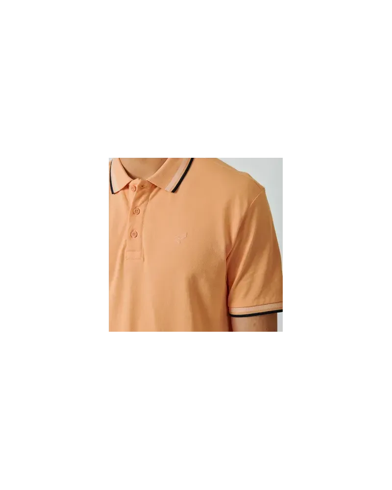 POLO RAYOC