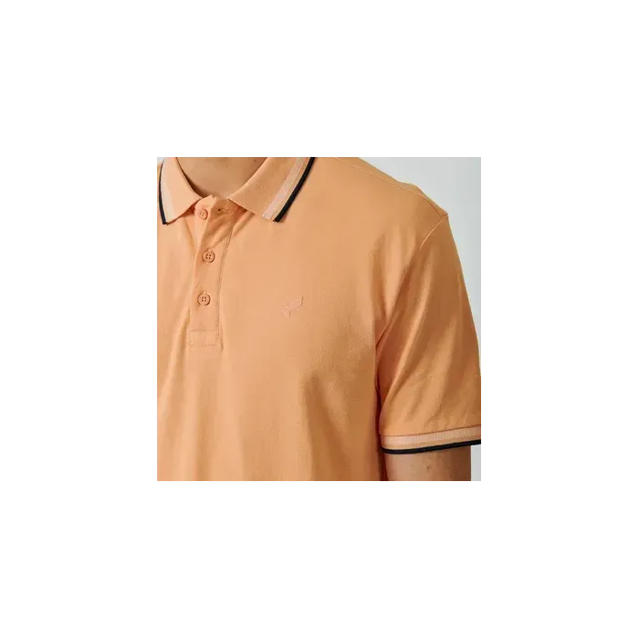 POLO RAYOC